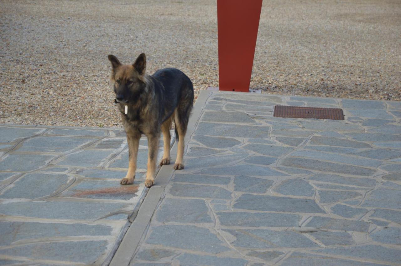 Il Poggio Agrisport Villa Poirino Bagian luar foto