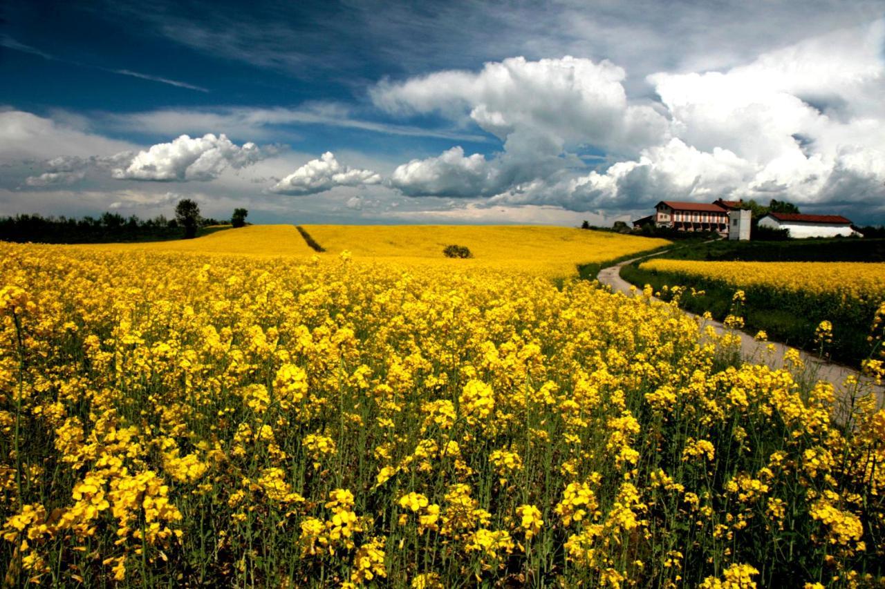 Il Poggio Agrisport Villa Poirino Bagian luar foto